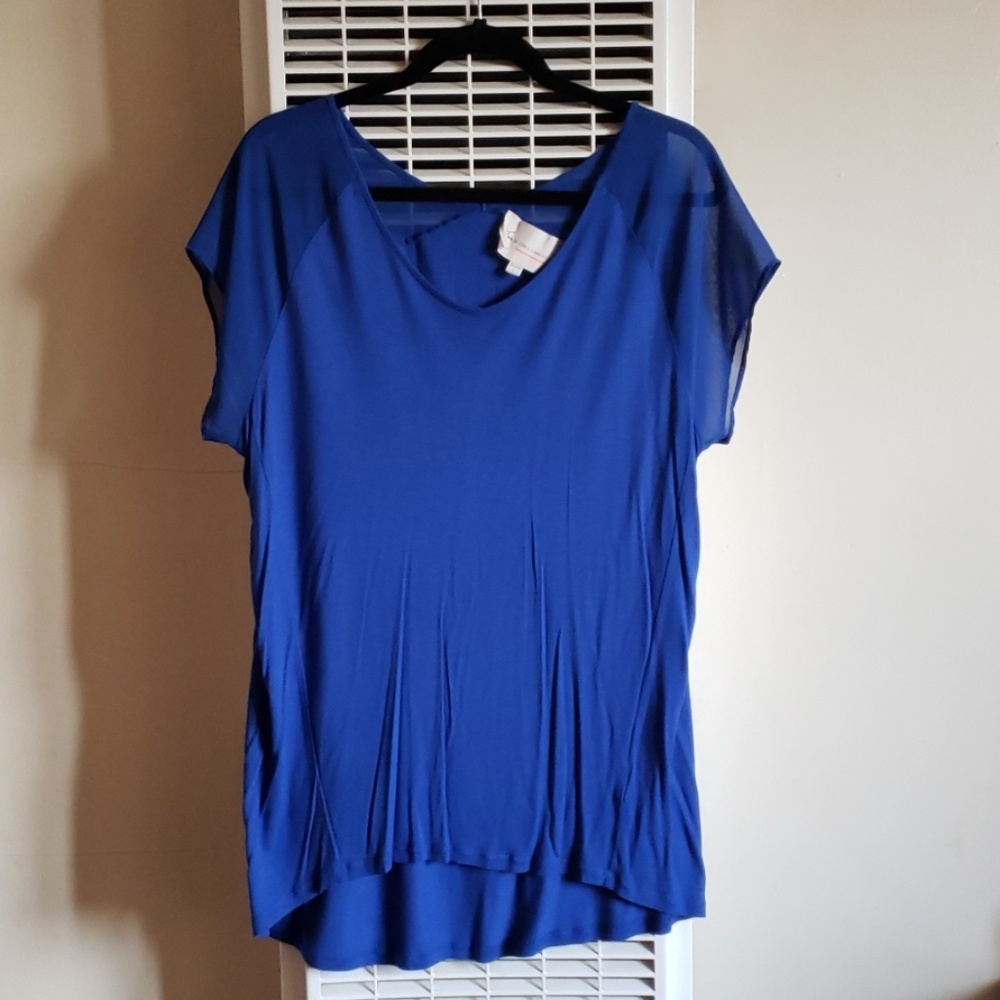 Vince Camuto Blue Blouse w/ Chiffon Cap Sleeves